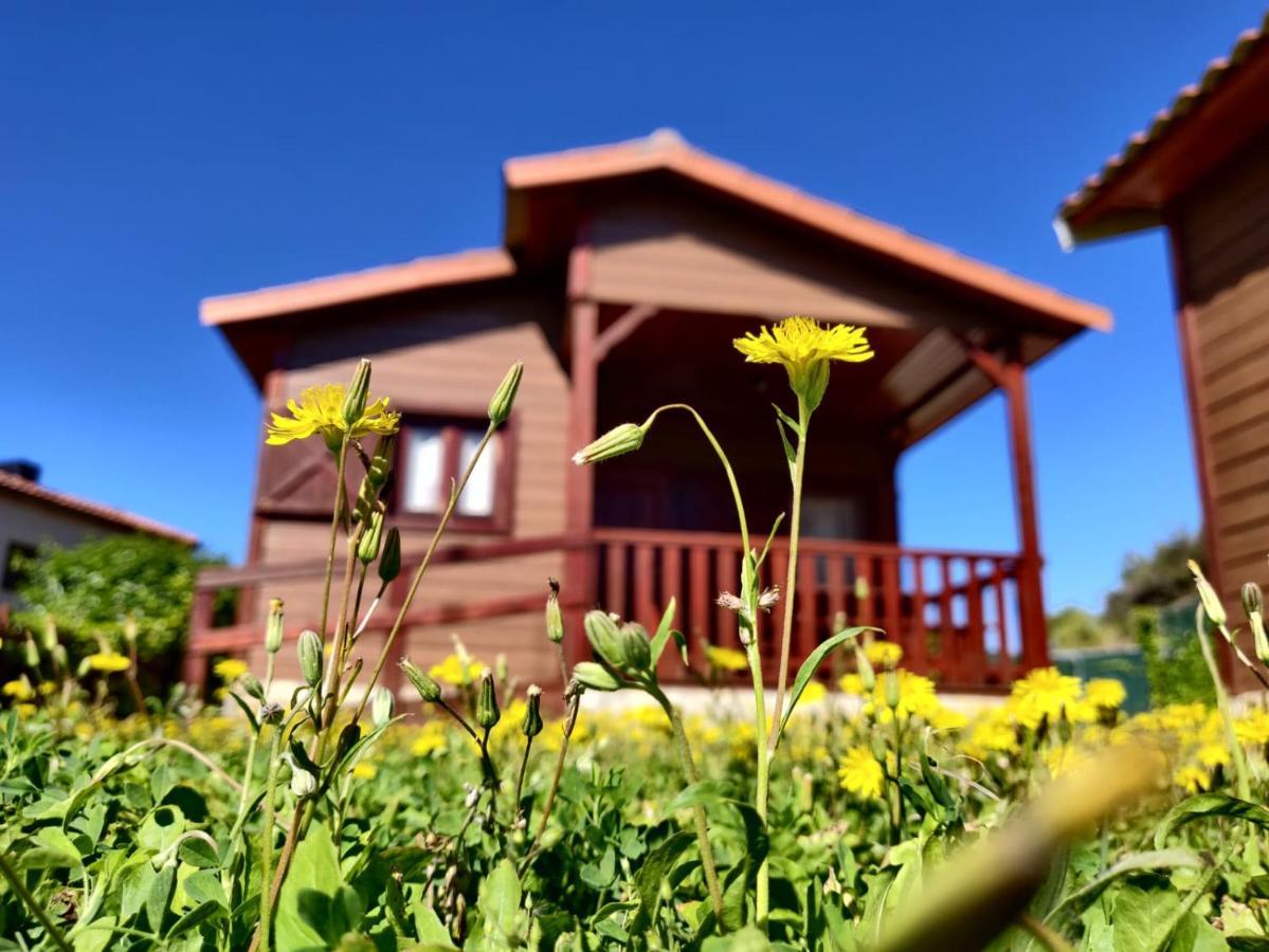 Camping Bungalow Serra De Prades Resort Vilanova de Prades Kültér fotó